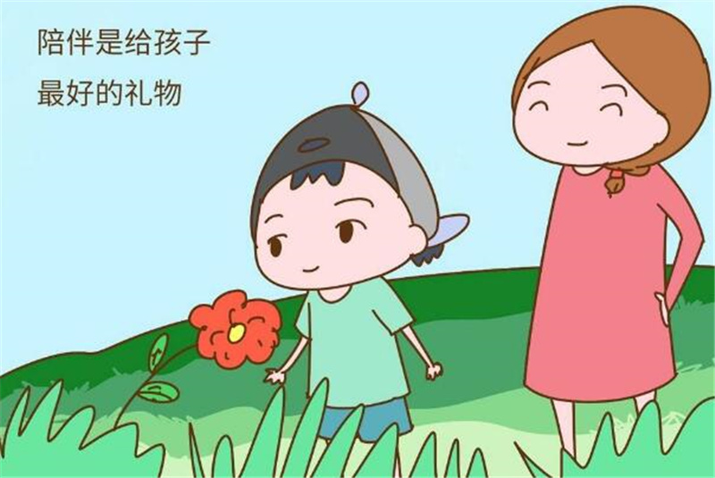 会玩才好作文700字,初二作文