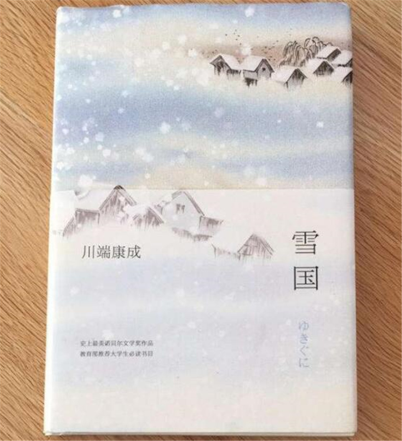 《雪国》读后感1000字,高中读后感作文