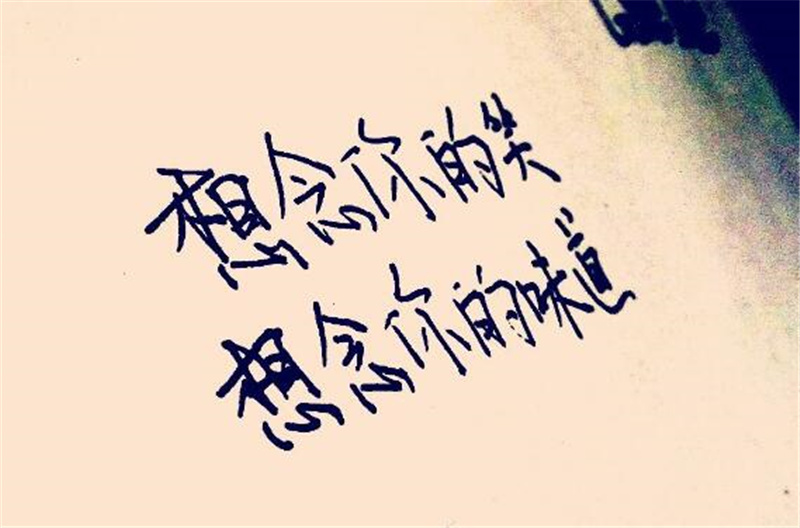 想念那些逝去的日子作文1000字,初三作文