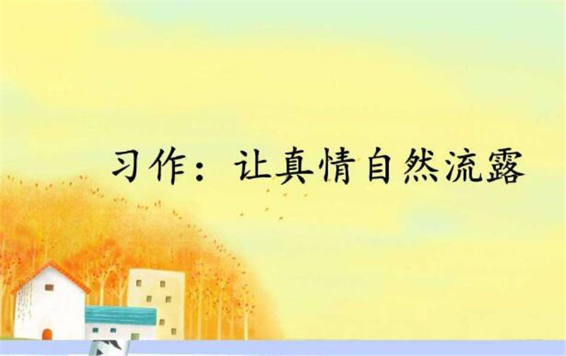 让真情自然流露600字作文,小学作文两篇