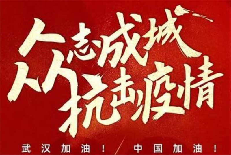 武汉加油作文600字,六年级作文